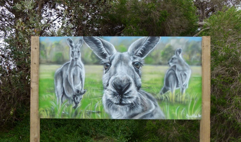 Kangaroos