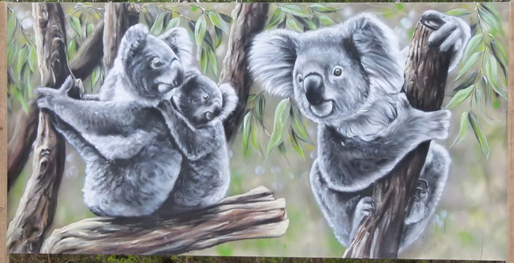 Koala's