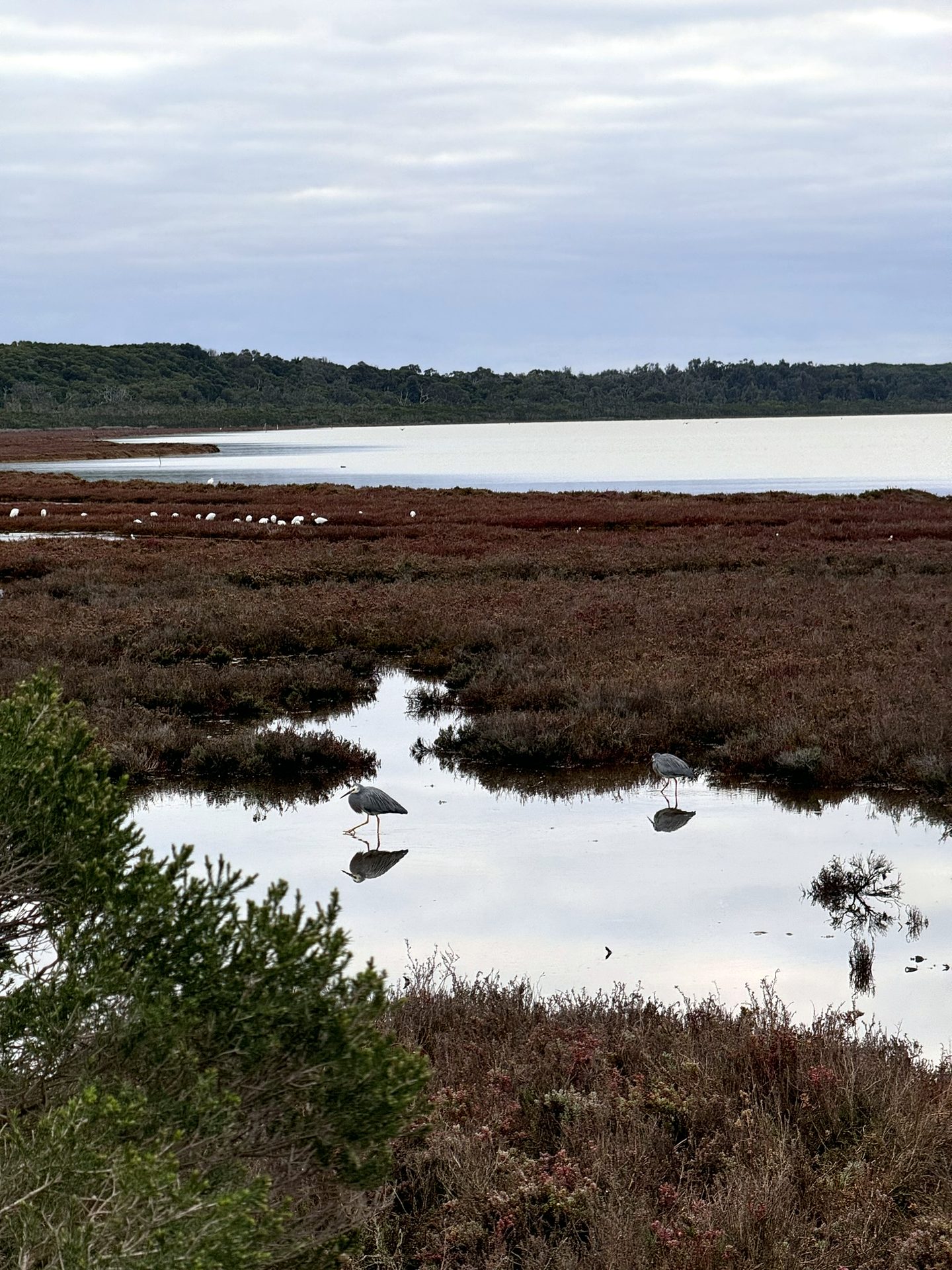 Gippsland Lakes Coastal Park